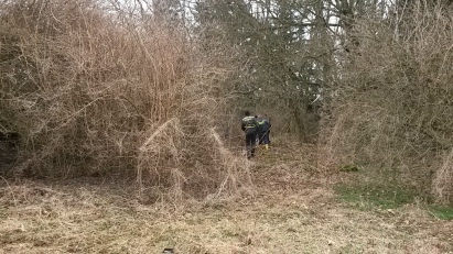 20150328_105733