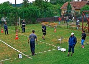 BSC_1182kopie